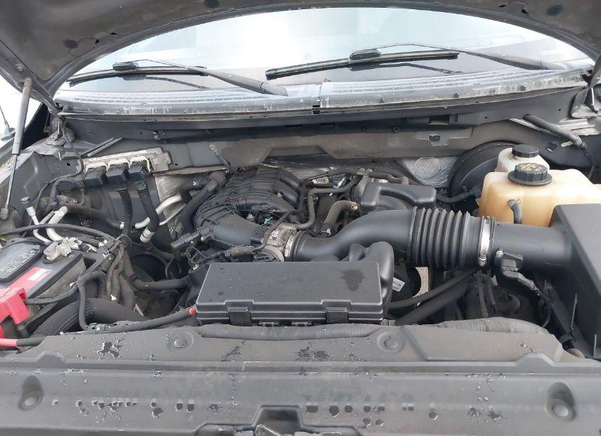 Photo 10 of 2011 Ford F-150 XLT (VIN 1FTEX1CM3BKD05750)