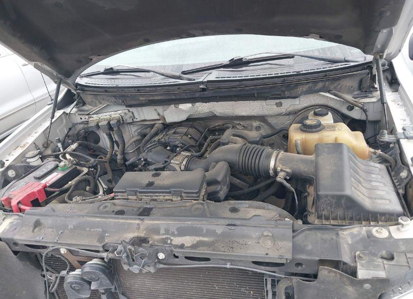 Photo 10 of 2011 Ford F-150 XLT (VIN 1FTEX1CM3BKE16542)