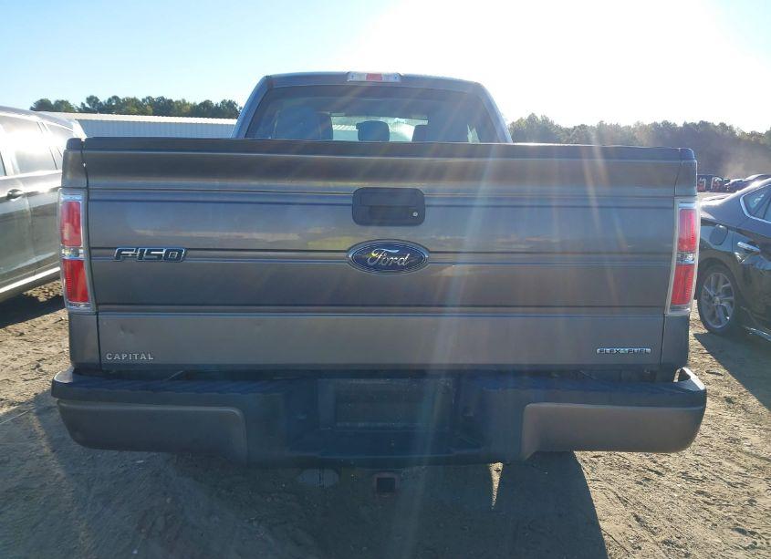 Photo 16 of 2013 Ford F-150 STX (VIN 1FTEX1CM3DFD91721)