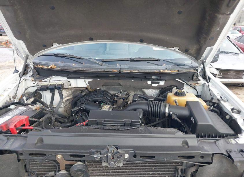 Photo 10 of 2012 Ford F-150 XL (VIN 1FTEX1CM5CKD38637)