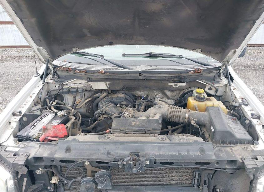 Photo 10 of 2014 Ford F-150 XL (VIN 1FTEX1CM5EFD12616)