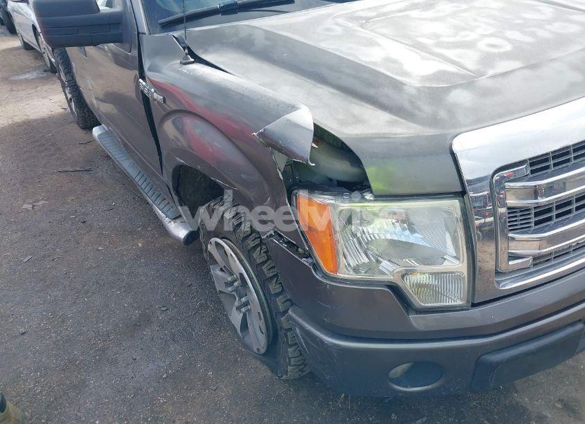 Photo 6 of 2014 Ford F-150 STX (VIN 1FTEX1CM6EKE29693)