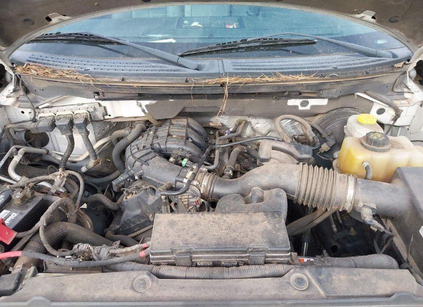 Photo 10 of 2014 Ford F-150 XL (VIN 1FTEX1CM7EFB80703)