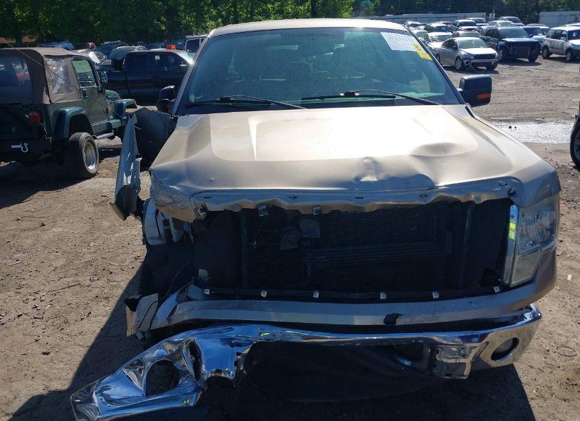 Photo 6 of 2011 Ford F-150 XLT (VIN 1FTEX1CM8BFC58269)