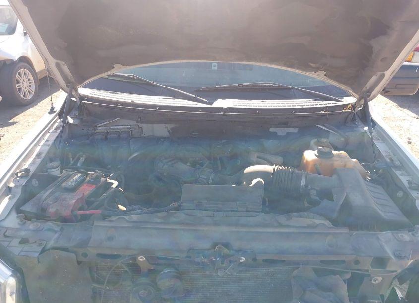 Photo 10 of 2011 Ford F-150 XLT (VIN 1FTEX1CM8BFD02982)