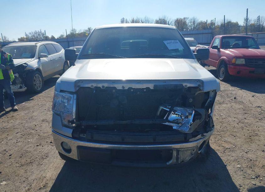 Photo 13 of 2011 Ford F-150 XLT (VIN 1FTEX1CM8BFD02982)