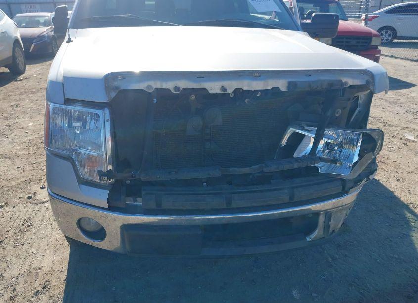 Photo 18 of 2011 Ford F-150 XLT (VIN 1FTEX1CM8BFD02982)