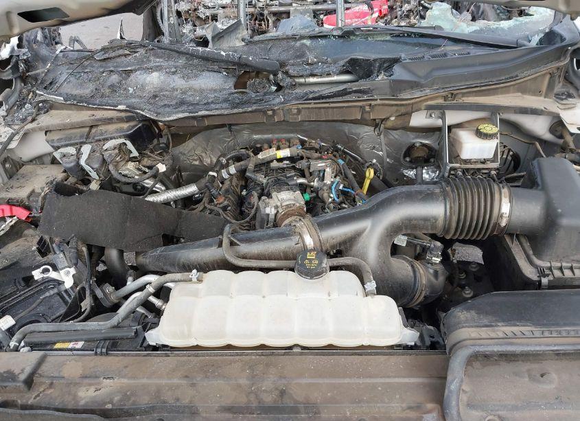 Photo 10 of 2023 Ford F-150 XL (VIN 1FTEX1CP5PKE43047)