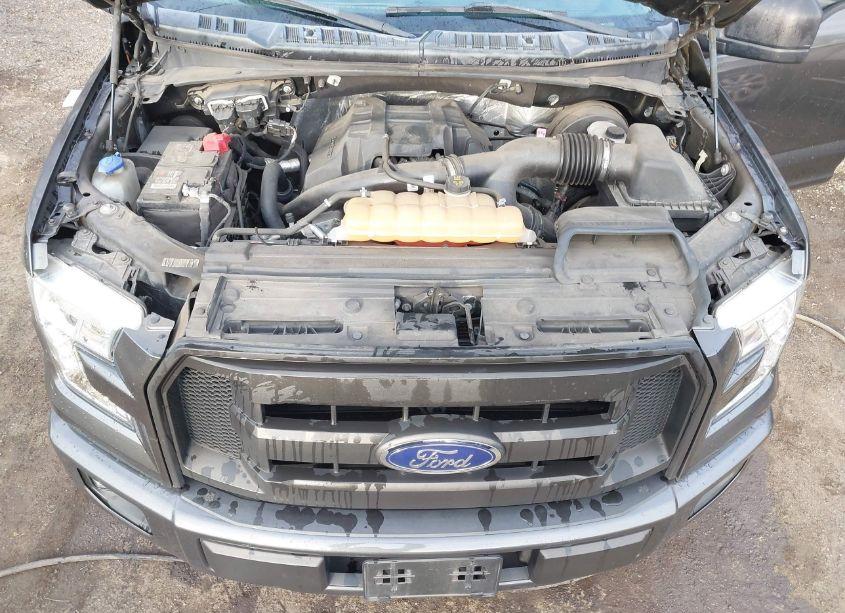 Photo 10 of 2016 Ford F-150 XL (VIN 1FTEX1CPXGKF41670)