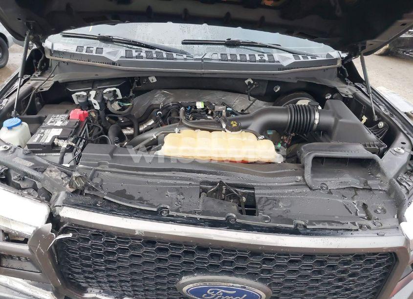 Photo 10 of 2019 Ford F-150 XL (VIN 1FTEX1CPXKFA28582)