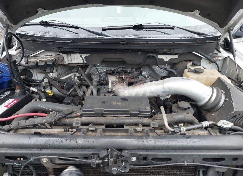 Photo 10 of 2010 Ford F-150 XL (VIN 1FTEX1CW0AFA13353)