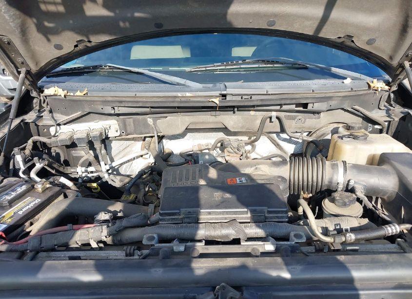 Photo 10 of 2010 Ford F-150 STX/XL (VIN 1FTEX1CW3AFD83261)