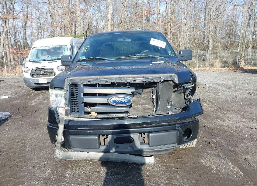 Photo 12 of 2010 Ford F-150 STX/XL (VIN 1FTEX1CW3AFD83261)