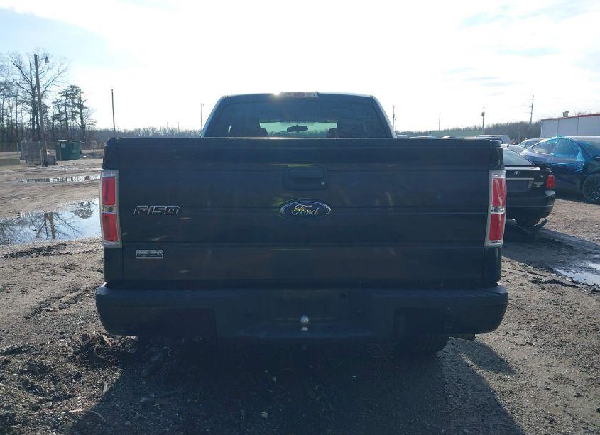 Photo 16 of 2010 Ford F-150 STX/XL (VIN 1FTEX1CW3AFD83261)