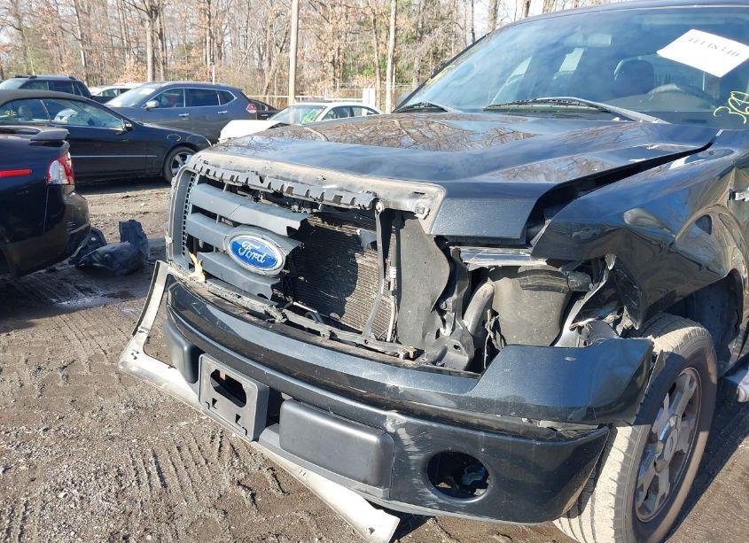 Photo 6 of 2010 Ford F-150 STX/XL (VIN 1FTEX1CW3AFD83261)