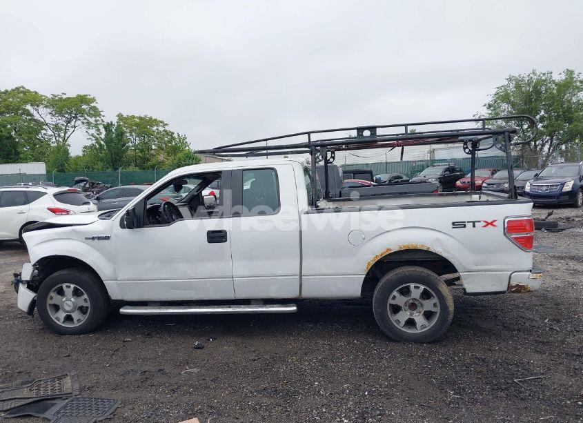 Photo 15 of 2010 Ford F-150 STX/XL (VIN 1FTEX1CW4AFC14348)