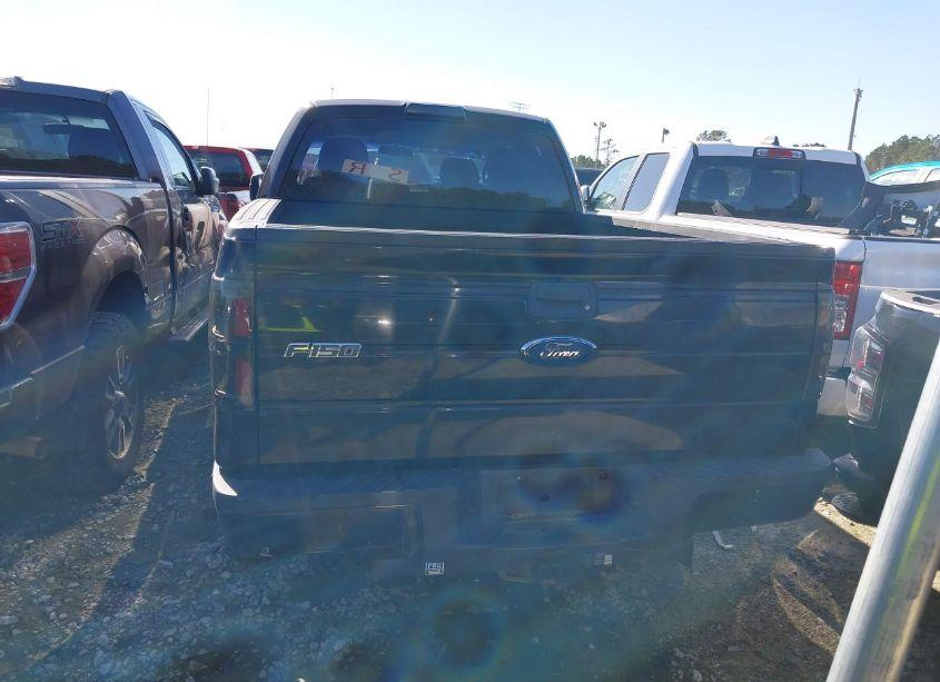 Photo 16 of 2010 Ford F-150 STX/XL (VIN 1FTEX1CW7AFB09092)