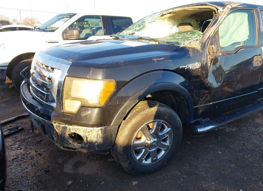 Photo 6 of 2010 Ford F-150 STX/XL (VIN 1FTEX1CW7AFB33585)