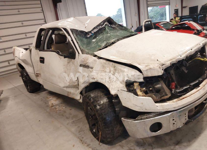 2010 Ford F-150 STX/XL (VIN 1FTEX1CW7AFC92235) main photo