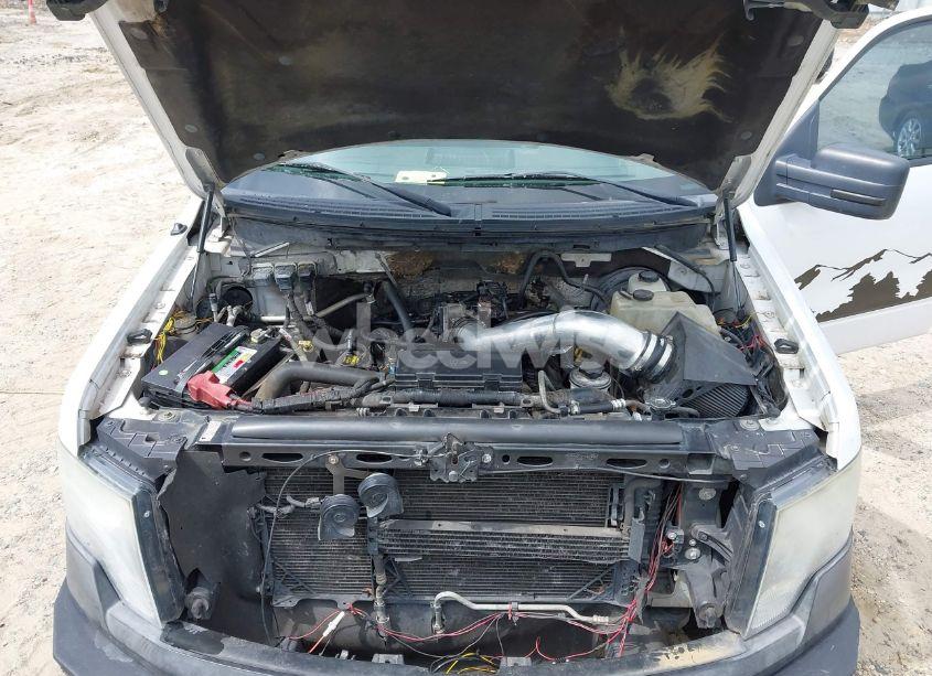 Photo 10 of 2010 Ford F-150 STX/XL (VIN 1FTEX1CW9AKB68765)