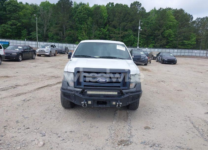 Photo 12 of 2010 Ford F-150 STX/XL (VIN 1FTEX1CW9AKB68765)