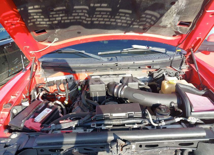 Photo 10 of 2010 Ford F-150 SVT RAPTOR (VIN 1FTEX1E69AFD42257)