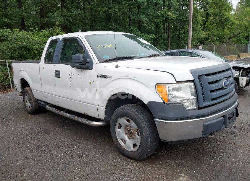 2010 Ford F-150 STX/XL/XLT (VIN 1FTEX1E80AFA49736) main photo