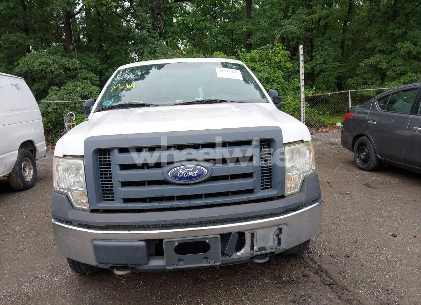 Photo 12 of 2010 Ford F-150 STX/XL/XLT (VIN 1FTEX1E80AFA49736)