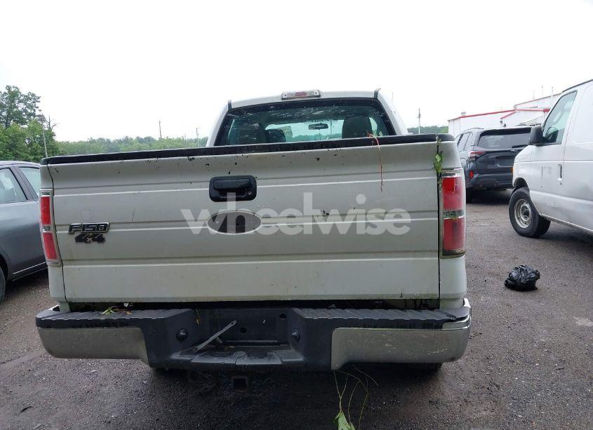 Photo 16 of 2010 Ford F-150 STX/XL/XLT (VIN 1FTEX1E80AFA49736)