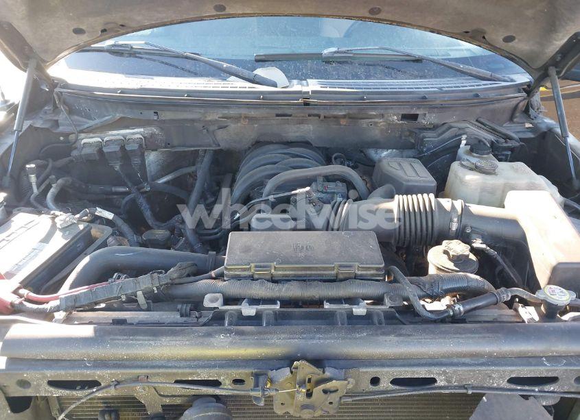 Photo 10 of 2010 Ford F-150 STX/XL/XLT (VIN 1FTEX1E80AFB99376)