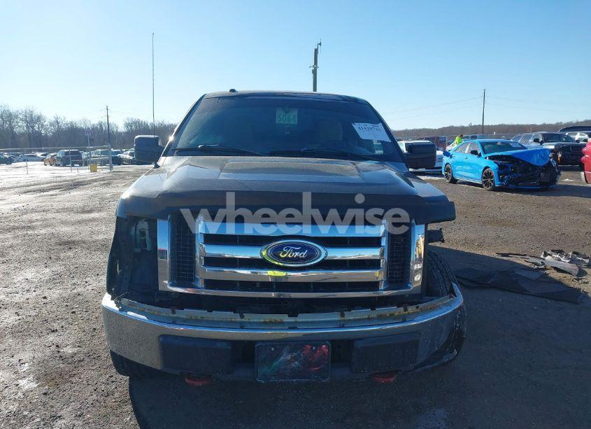 Photo 13 of 2010 Ford F-150 STX/XL/XLT (VIN 1FTEX1E80AFB99376)