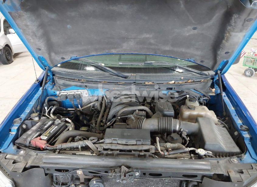 Photo 10 of 2010 Ford F-150 STX/XL/XLT (VIN 1FTEX1E81AFB43768)