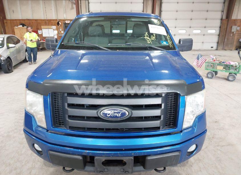Photo 12 of 2010 Ford F-150 STX/XL/XLT (VIN 1FTEX1E81AFB43768)