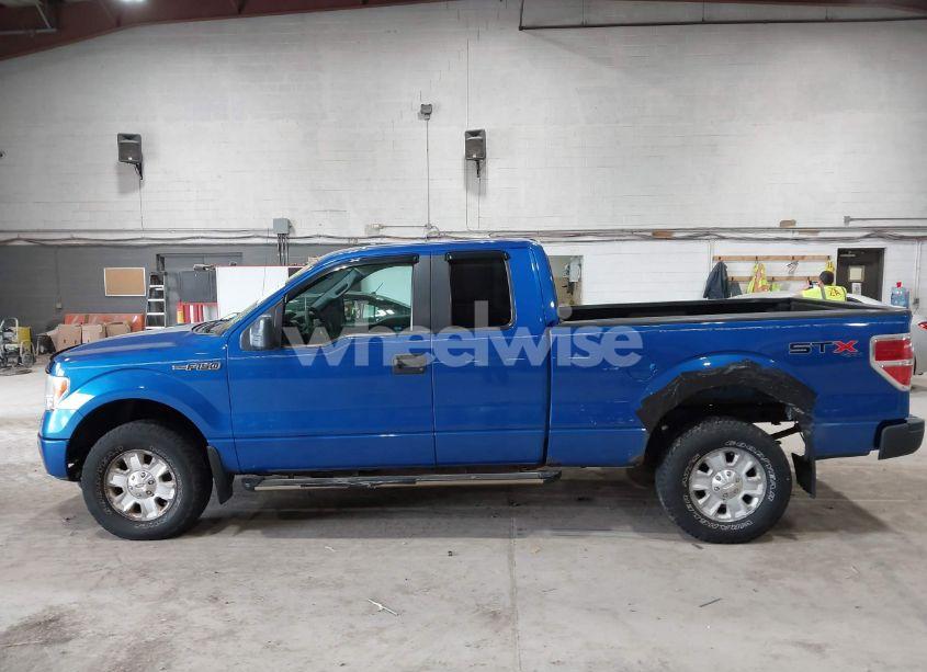 Photo 14 of 2010 Ford F-150 STX/XL/XLT (VIN 1FTEX1E81AFB43768)