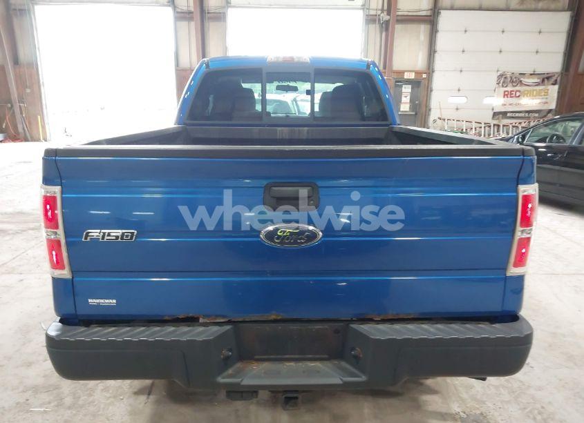 Photo 16 of 2010 Ford F-150 STX/XL/XLT (VIN 1FTEX1E81AFB43768)