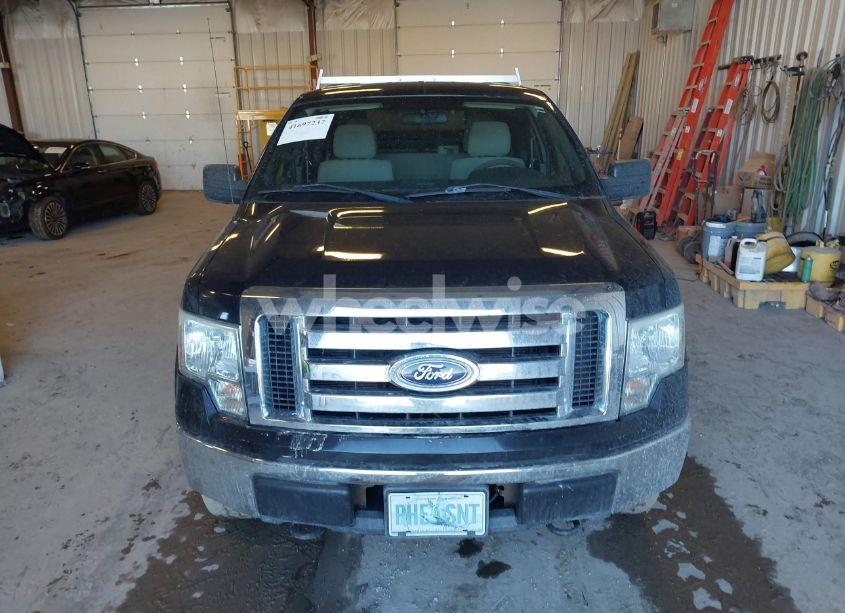 Photo 12 of 2010 Ford F-150 XLT (VIN 1FTEX1E81AFD09691)