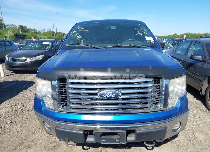 Photo 11 of 2010 Ford F-150 STX/XL/XLT (VIN 1FTEX1E82AFA58311)