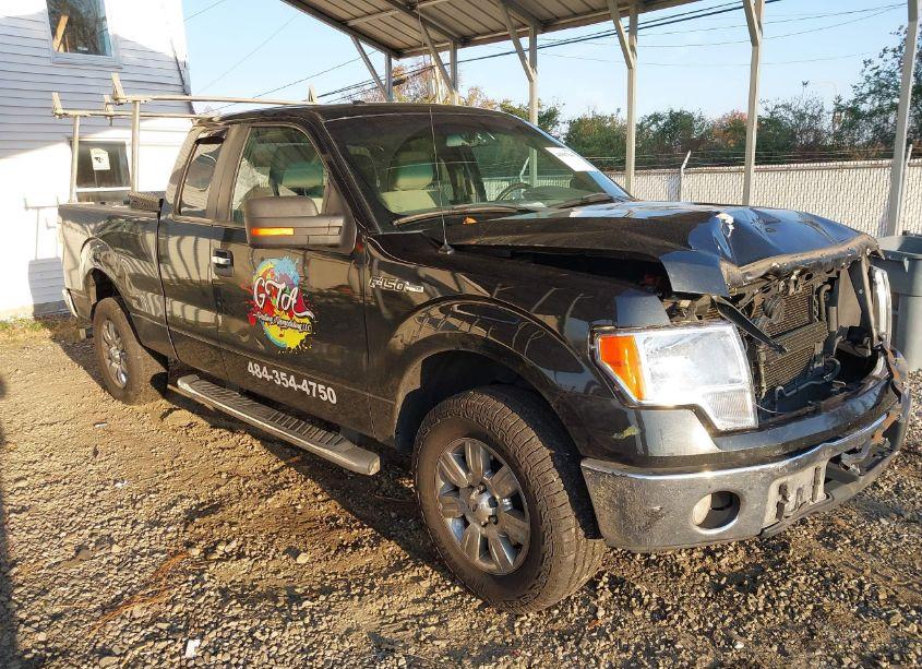 2010 Ford F-150 STX/XL/XLT (VIN 1FTEX1E82AFD02250) main photo