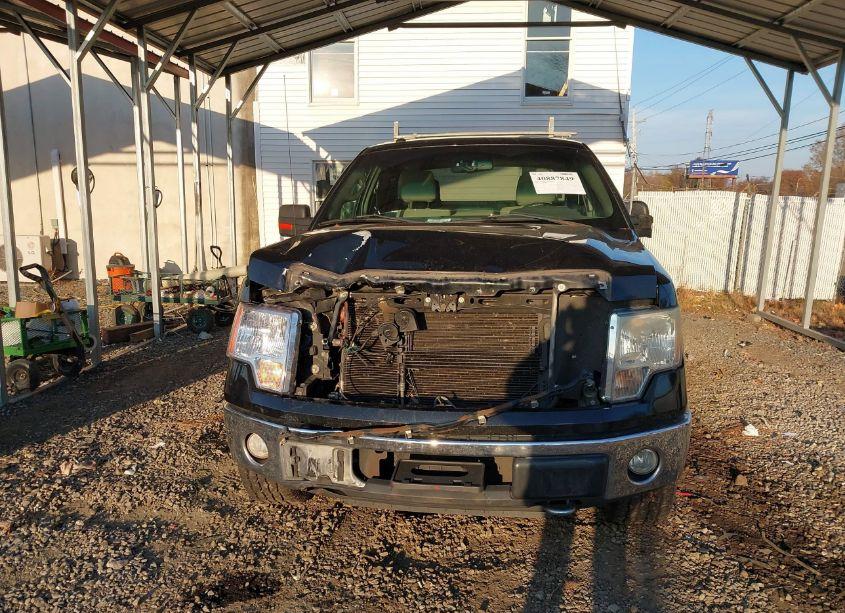 Photo 12 of 2010 Ford F-150 STX/XL/XLT (VIN 1FTEX1E82AFD02250)