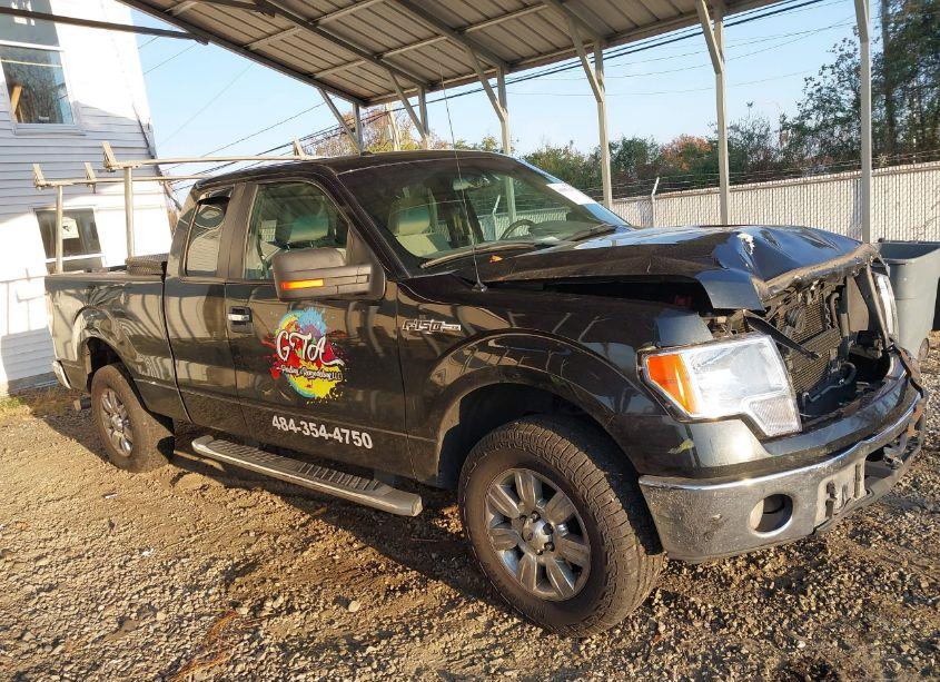 Photo 13 of 2010 Ford F-150 STX/XL/XLT (VIN 1FTEX1E82AFD02250)