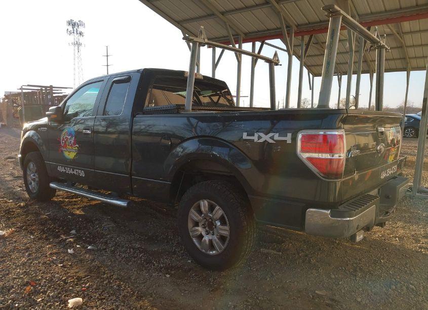 Photo 14 of 2010 Ford F-150 STX/XL/XLT (VIN 1FTEX1E82AFD02250)