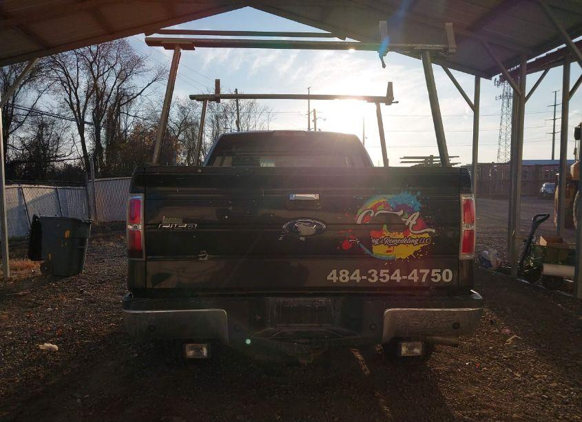 Photo 16 of 2010 Ford F-150 STX/XL/XLT (VIN 1FTEX1E82AFD02250)