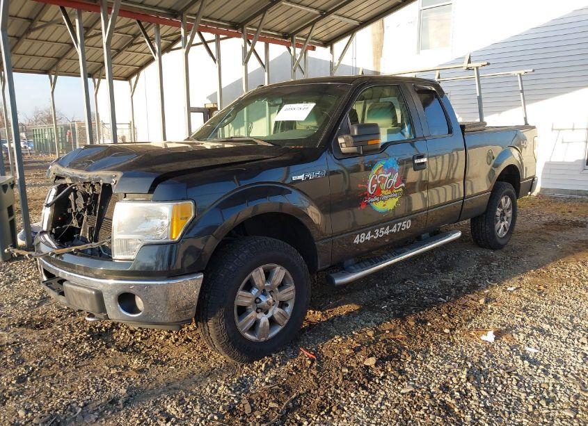 Photo 2 of 2010 Ford F-150 STX/XL/XLT (VIN 1FTEX1E82AFD02250)