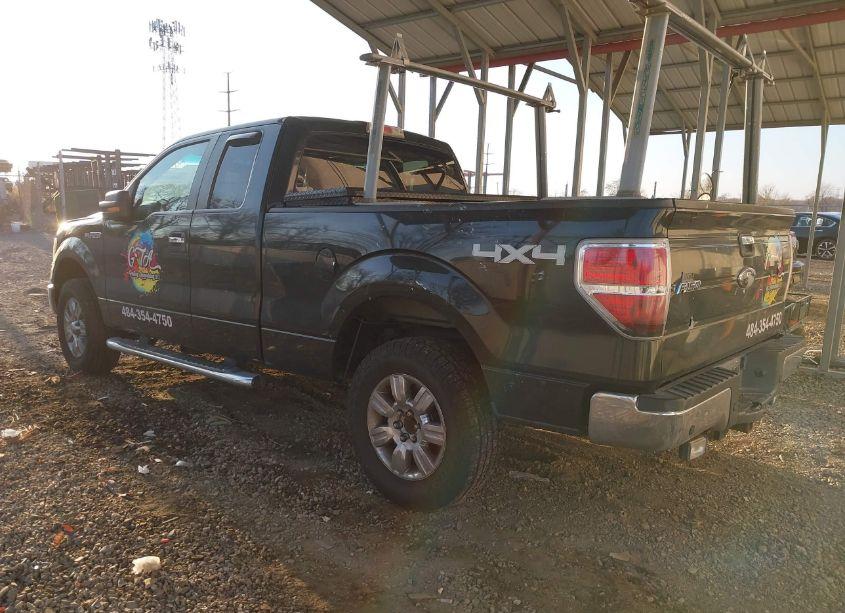 Photo 3 of 2010 Ford F-150 STX/XL/XLT (VIN 1FTEX1E82AFD02250)