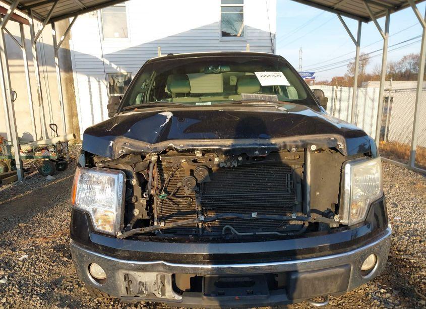 Photo 6 of 2010 Ford F-150 STX/XL/XLT (VIN 1FTEX1E82AFD02250)