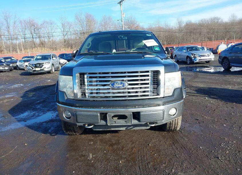 Photo 12 of 2010 Ford F-150 STX/XL/XLT (VIN 1FTEX1E83AFB92261)