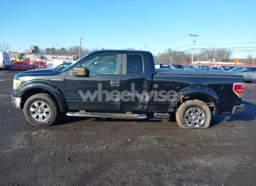Photo 14 of 2010 Ford F-150 STX/XL/XLT (VIN 1FTEX1E83AFB92261)