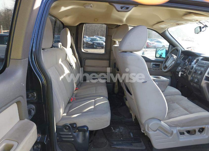 Photo 8 of 2010 Ford F-150 STX/XL/XLT (VIN 1FTEX1E83AFB92261)