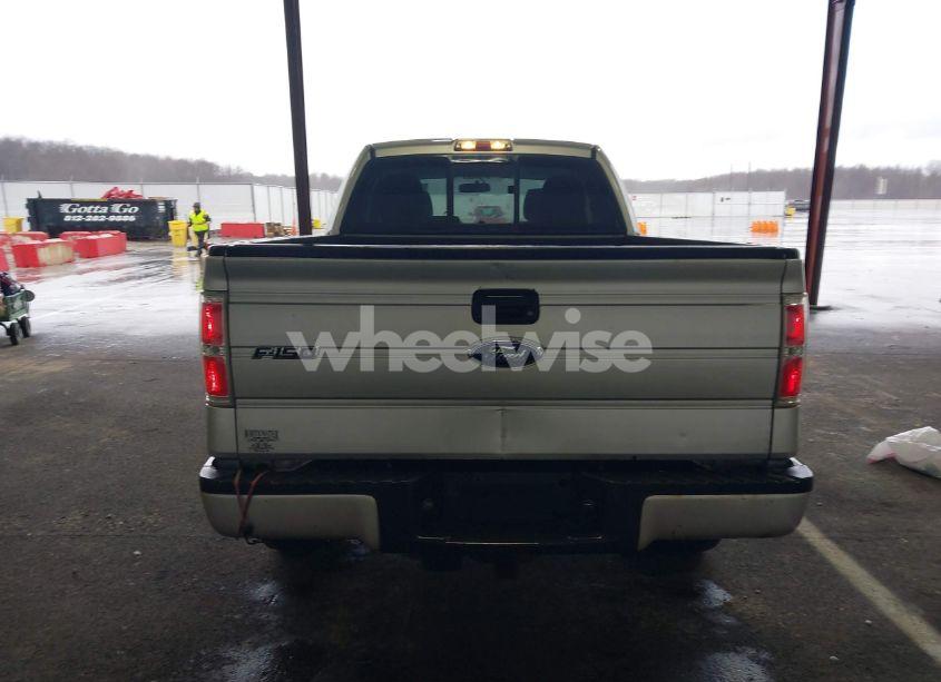 Photo 16 of 2010 Ford F-150 STX/XL/XLT (VIN 1FTEX1E83AFC80694)