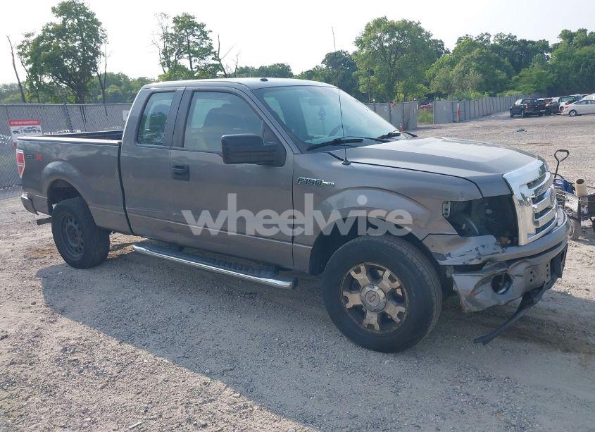 2010 Ford F-150 STX/XL/XLT (VIN 1FTEX1E83AFD70461) main photo